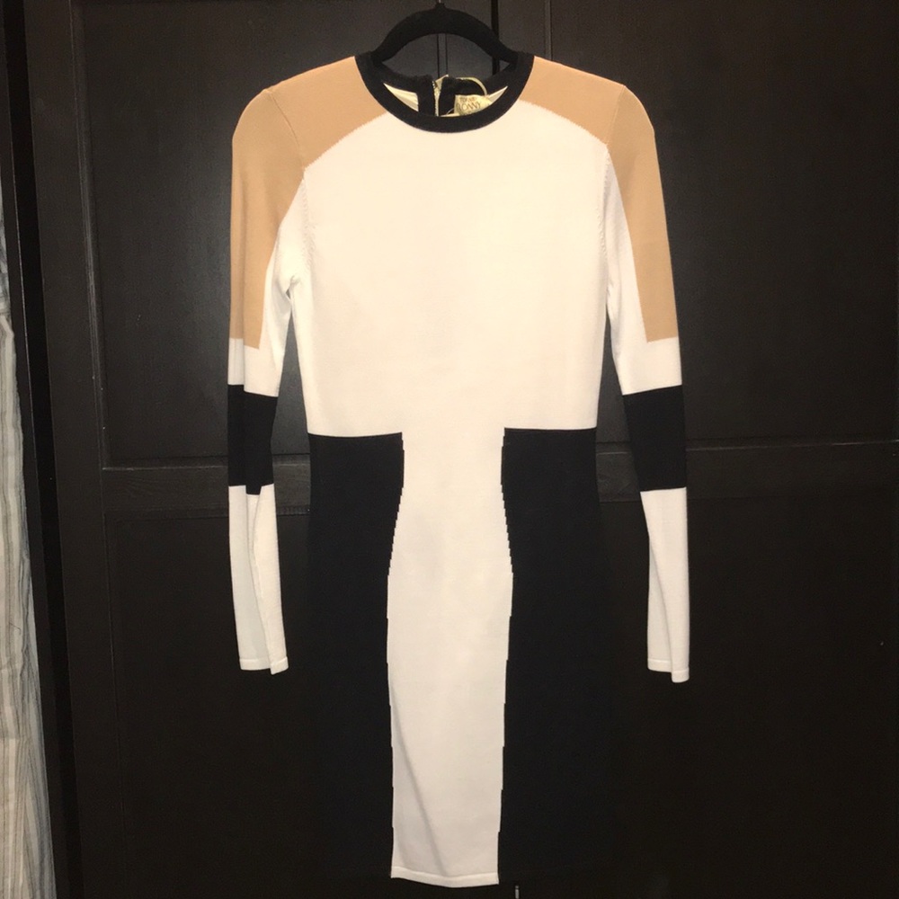 NWT Torn by Ronny Kobo body Con Dress